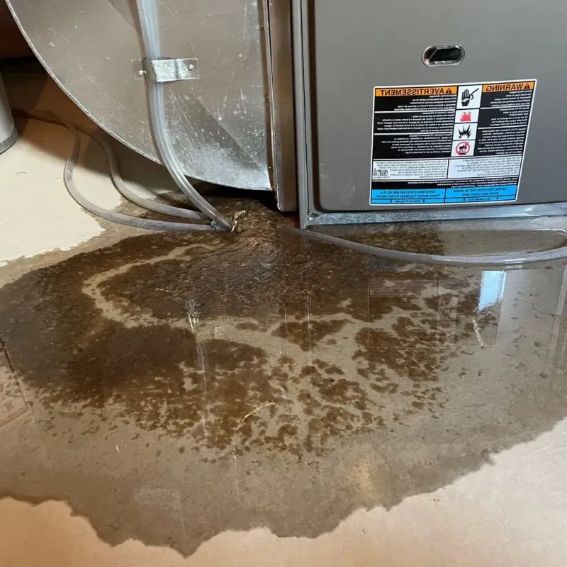 Pipe Burst and Leak Restoration in Bedford, NH